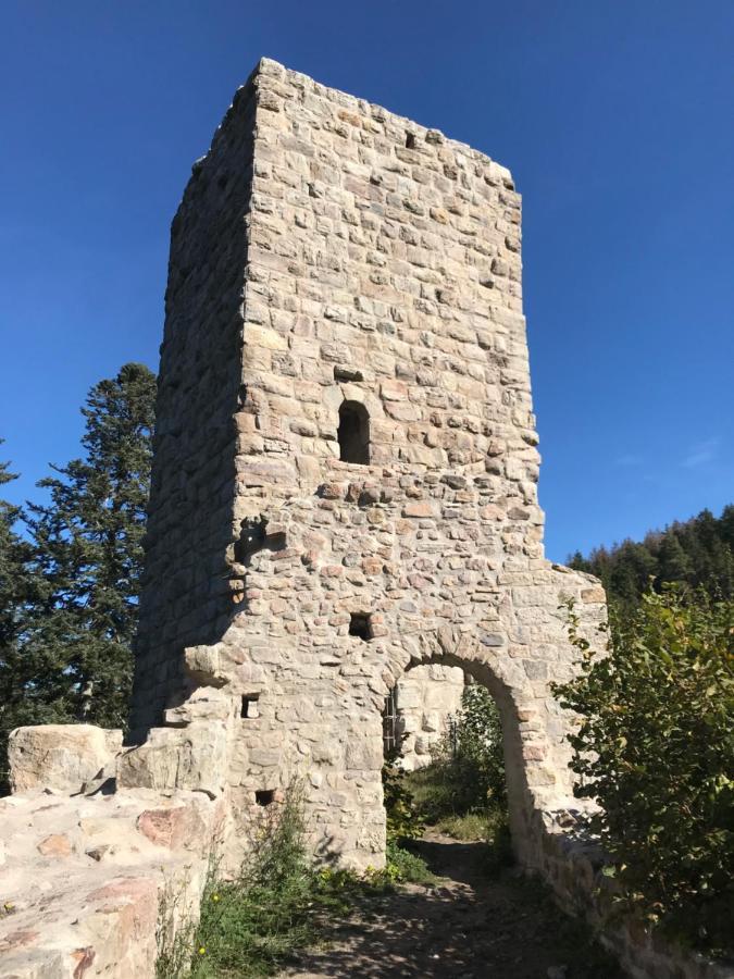 Landgasthof Alpenblick An Der Wutachschlucht Suedschwarzwald โลฟฟิงเกน ภายนอก รูปภาพ