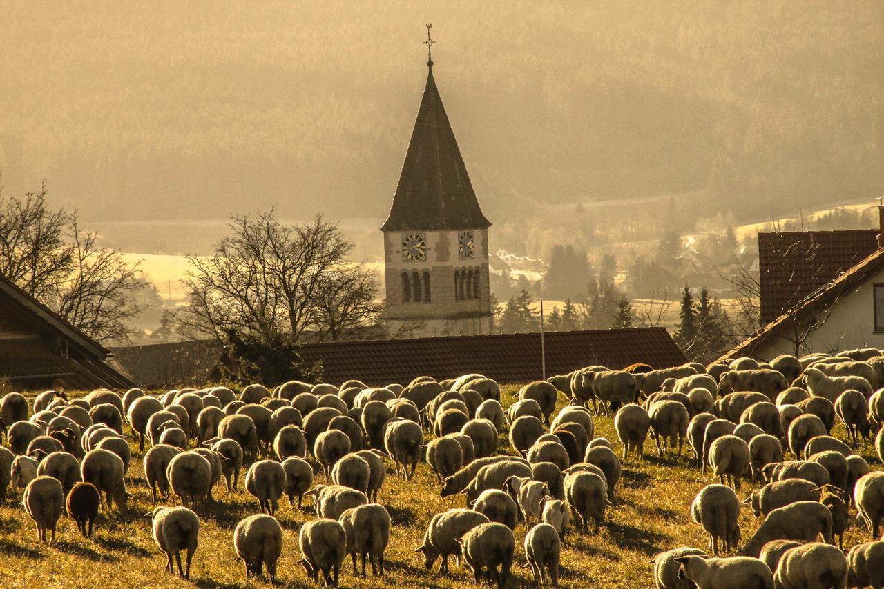 Landgasthof Alpenblick An Der Wutachschlucht Suedschwarzwald โลฟฟิงเกน ภายนอก รูปภาพ