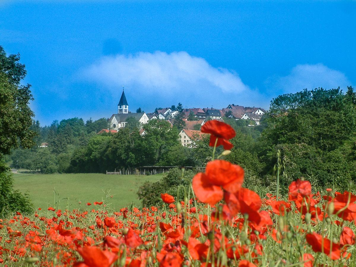 Landgasthof Alpenblick An Der Wutachschlucht Suedschwarzwald โลฟฟิงเกน ภายนอก รูปภาพ