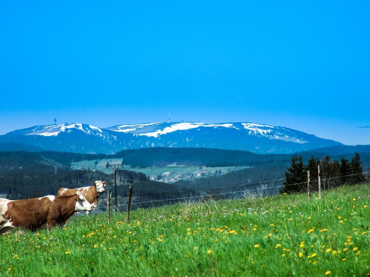 Landgasthof Alpenblick An Der Wutachschlucht Suedschwarzwald โลฟฟิงเกน ภายนอก รูปภาพ